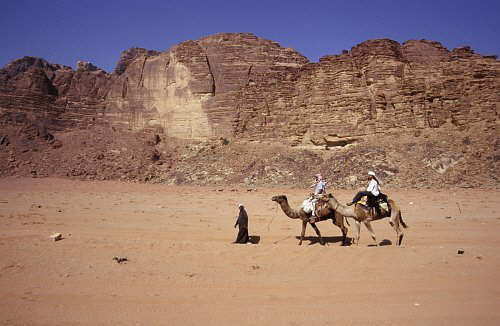 Kameltour im Wadi Ramm